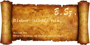 Bieber Szidónia névjegykártya